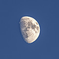 Hello Moon